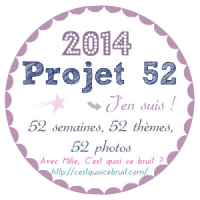 projet-52-logo-without-background
